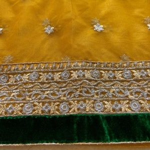 Beautiful Indian Boutique Net Saree Blouse